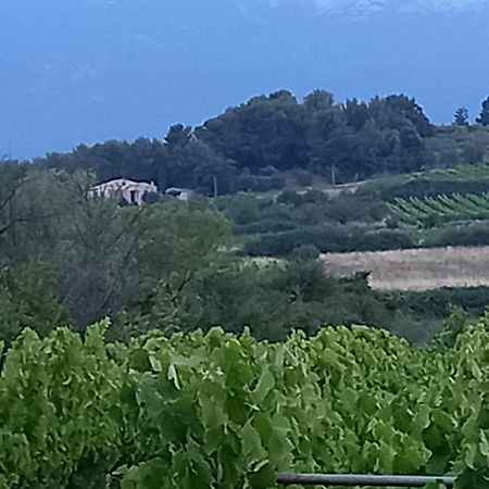 Villes-sur-AuzonLa Pifote别墅 外观 照片