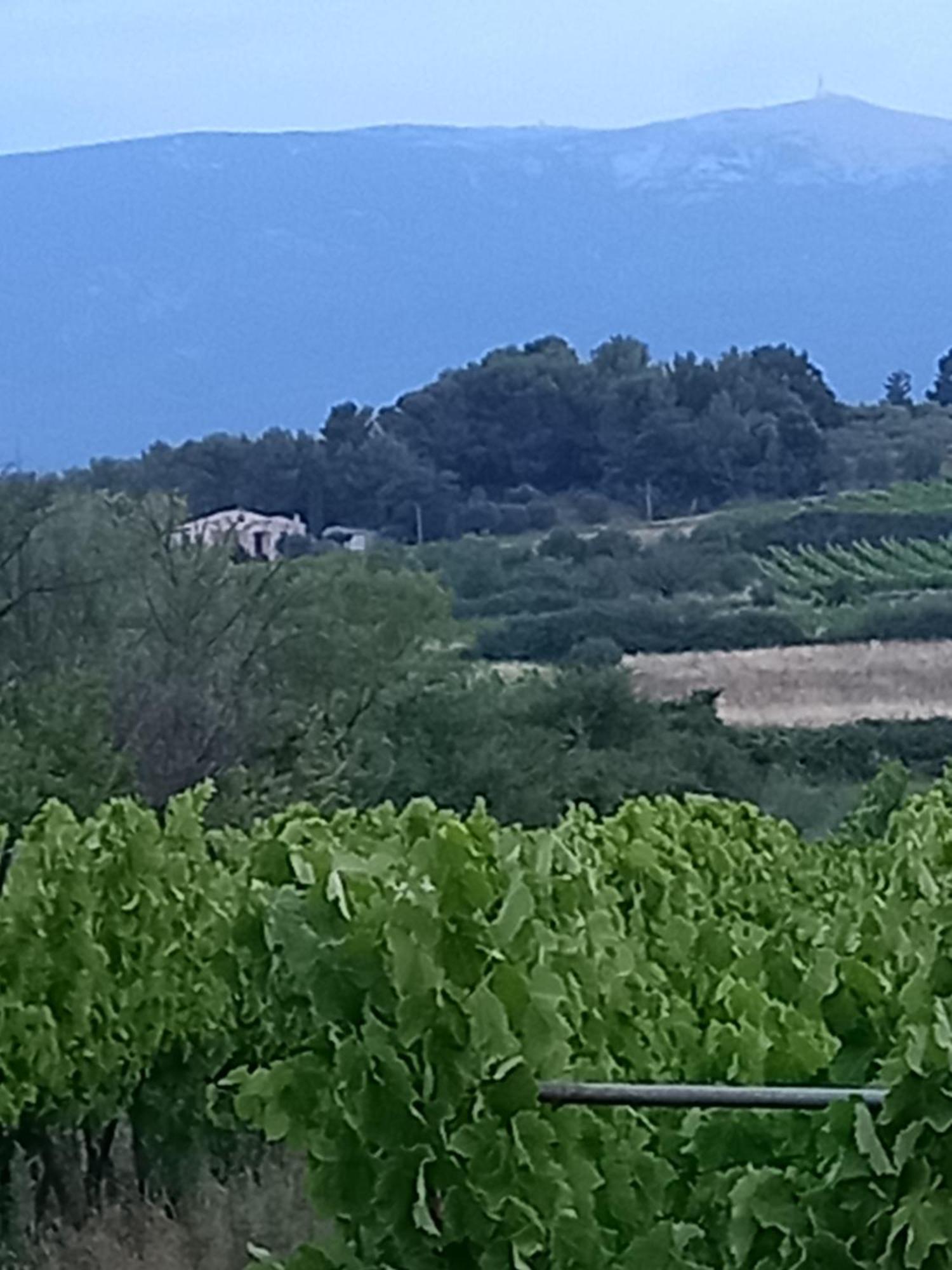 Villes-sur-AuzonLa Pifote别墅 外观 照片